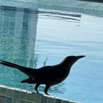 Foto del perfil de Ángel